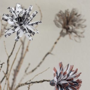 Paper Flowers