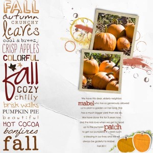 pumpkin patch at Mabel's