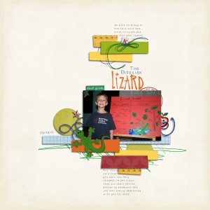 Lizard Report