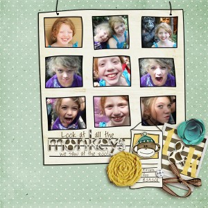 Monkeys