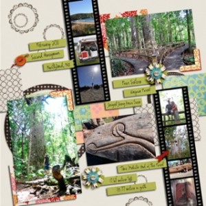 New Zealand 2011 part 3