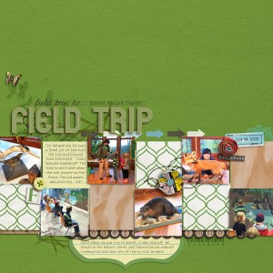 Sarett Field Trip