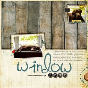 Window Seat