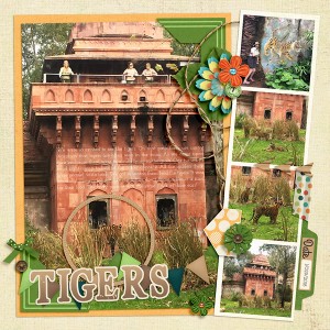 Tigers