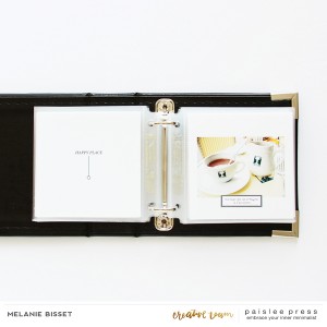 Paris mini-album XI