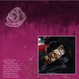 Photography Challenge FEB.