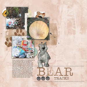 Bear Tracks