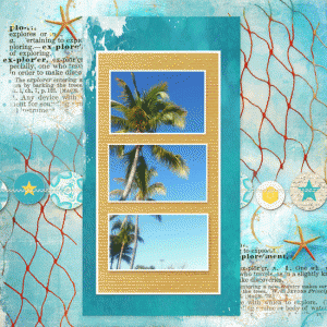 Palm Tree in Thirds