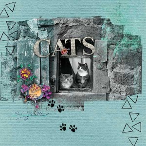 cats