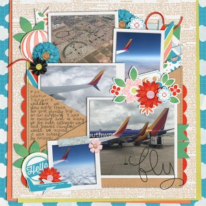 Wc_bbonneville_takeflight_sm
