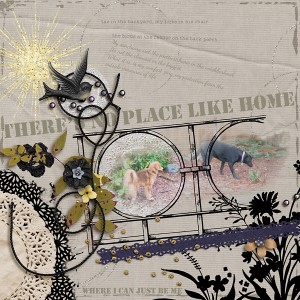 No Place Like Home