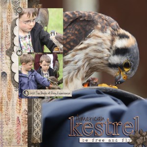 Kestrel