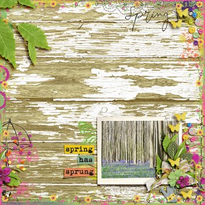 Spring