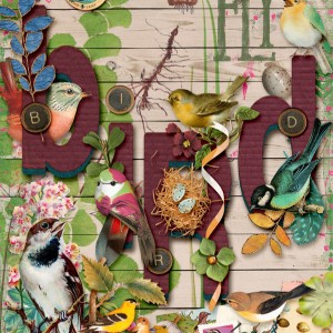 2018-02_February-TLP_AJ_3Week_Dressing-Up_Bird_web