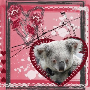 Koala Love - Await No More