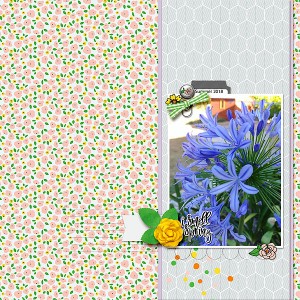 SmellSpringSmall