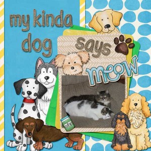 My Kinda Dog