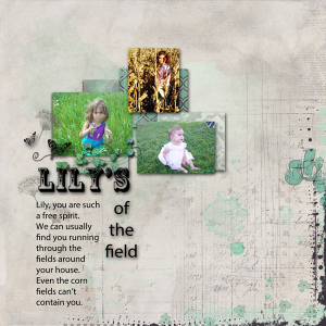Slow-Scrap-Feb-27