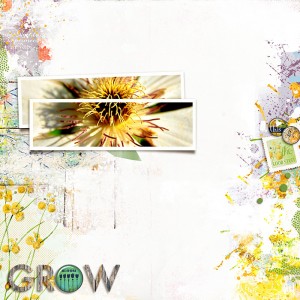 Grow