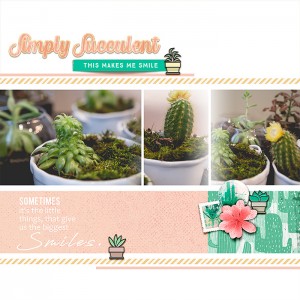 Simply Succulent