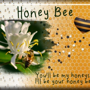ATC-2018-034-Honey-Bee