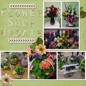 Flower Shop Update 3-1-2018