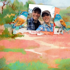 LoveBirds