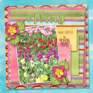 Kate Hadfield_ScrapLikeBirgit