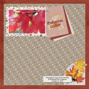 Autumn Color (3/5 Speed Scrap)