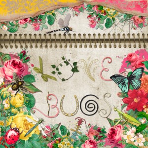 Love Bugs