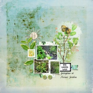 Bog Garden Walk