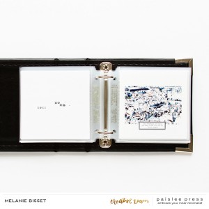 Paris mini-album XV