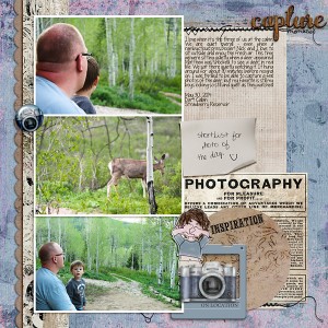 2014 May Cabin Deer