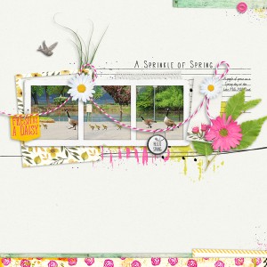 A Sprinkle of Spring