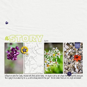 The Story