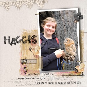 17jun23_Haggis01