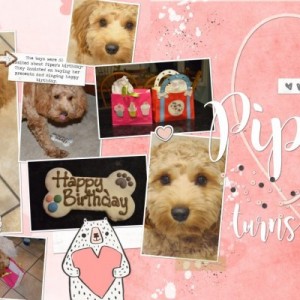 2018.02.07 Piper's Birthday