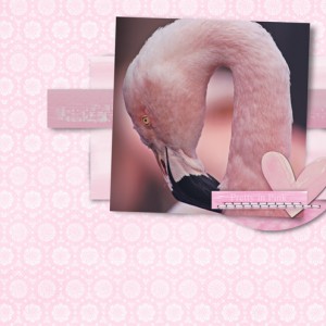 Pretty-in-Pink