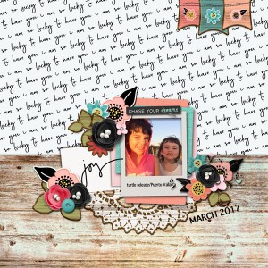 Alabau_March2018_Template challenge