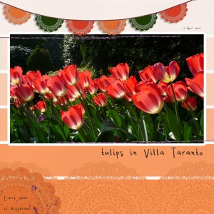 09apr14_tulips