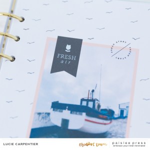 Spring project - Lucie Carpentier - 03