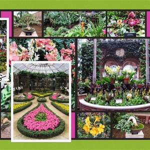 Phipps Conservatory, February 2018