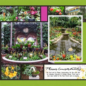 Phipps, Right side - February Photography Challenge