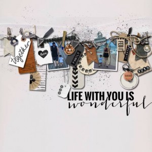 Wonderful-life