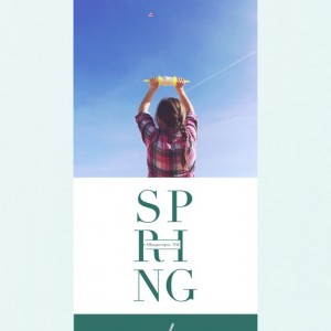 Spring Kite And Sunshine