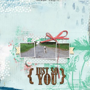 Just So You