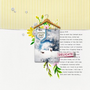 Delicate