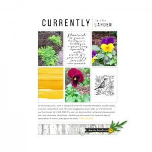 In-the-garden