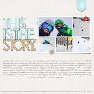 snow story
