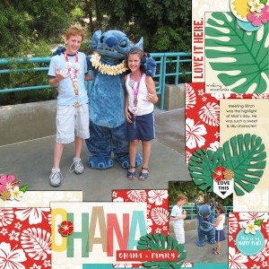 Stitch 2008